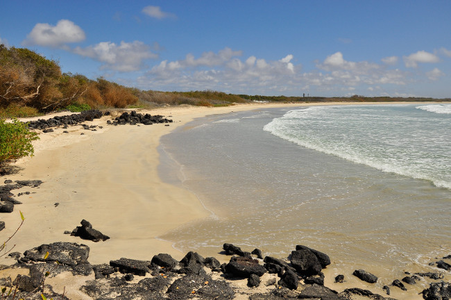 A view of the beach of the island of Isabela, on the Galapagos Islands, Ecuador