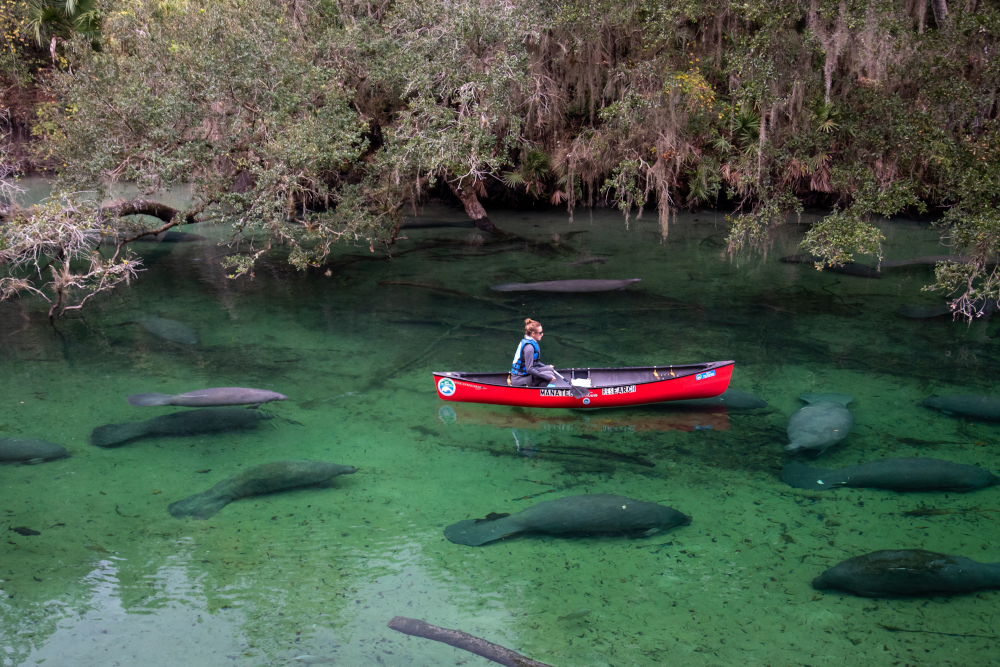 Deland, Florida