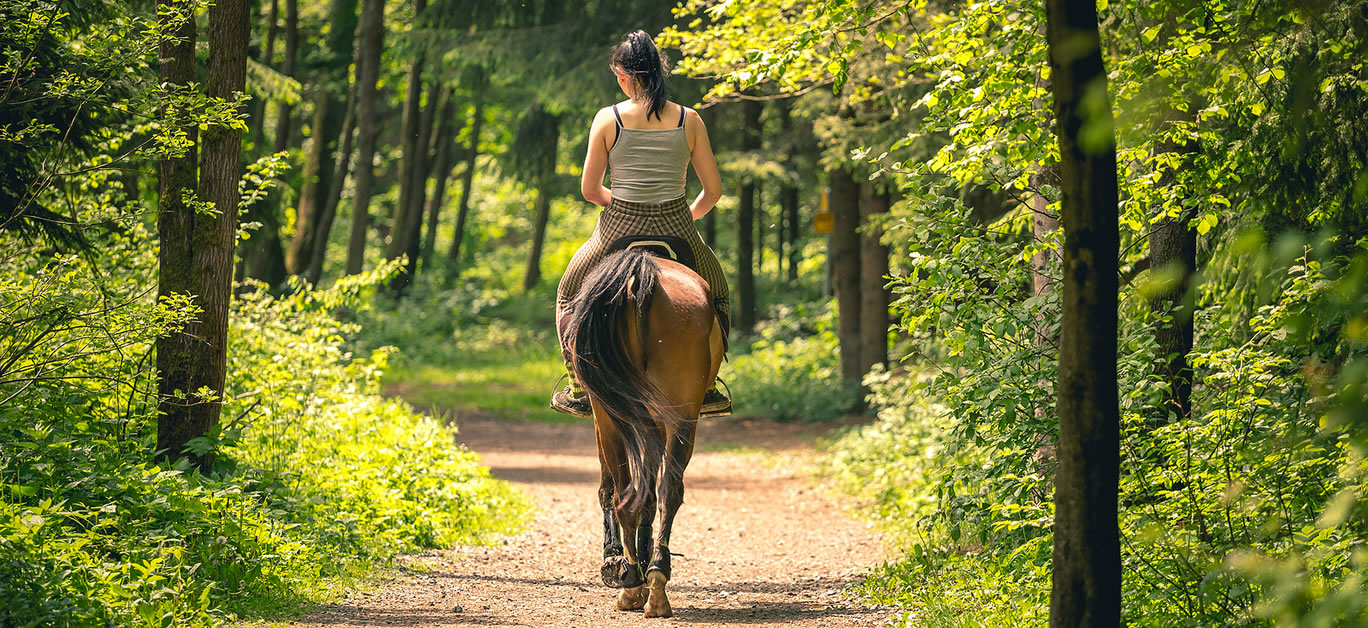 Is horse riding still a hobby reserved for the rich?
