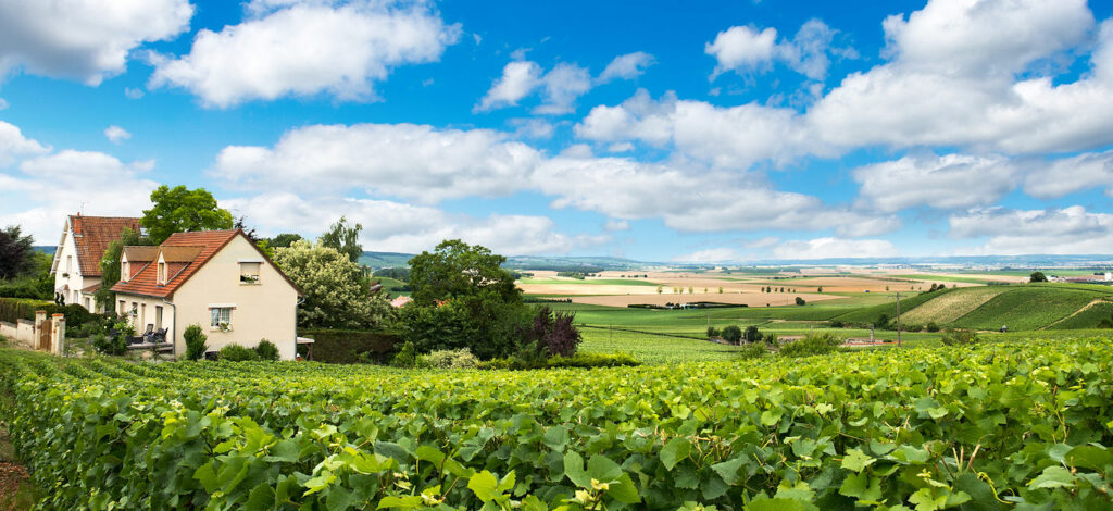 What to do on a sightseeing tour in Reims? | Luxury Lifestyle Magazine