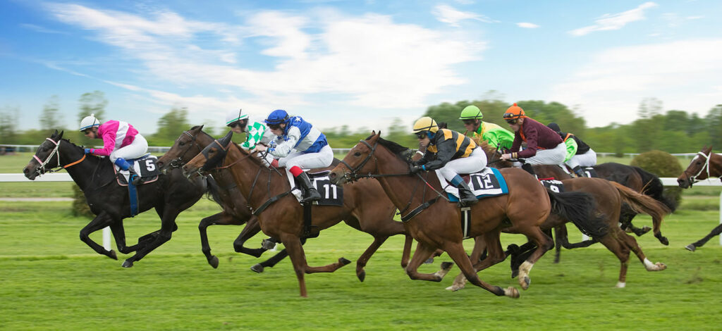 How To Own A Racehorse