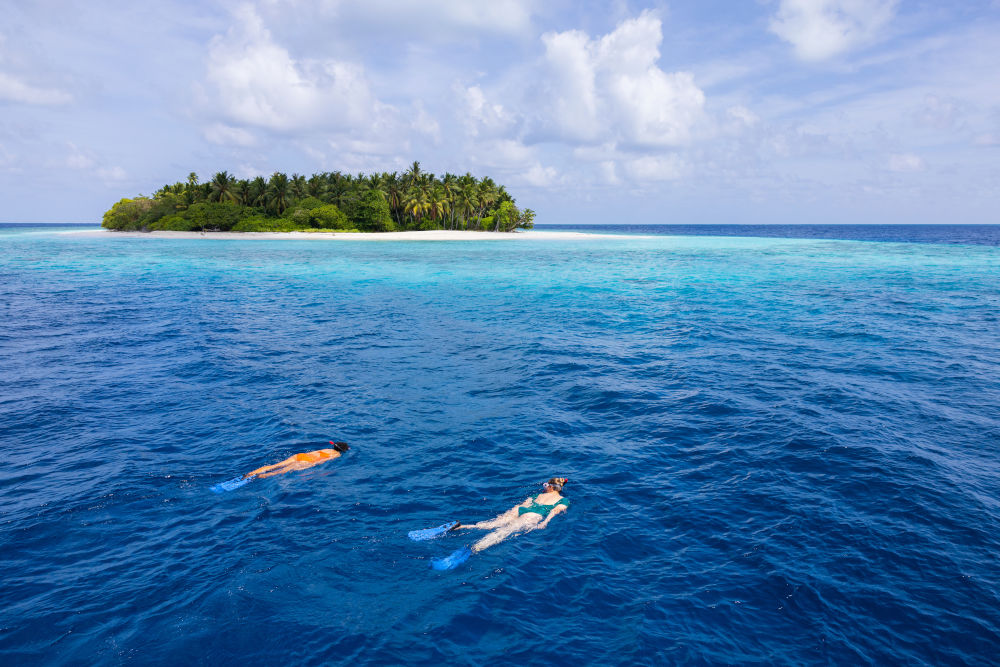 avani snorkelling