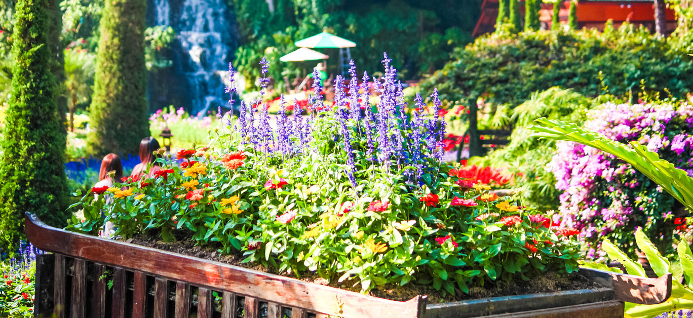 Beutiful flower pot in garden