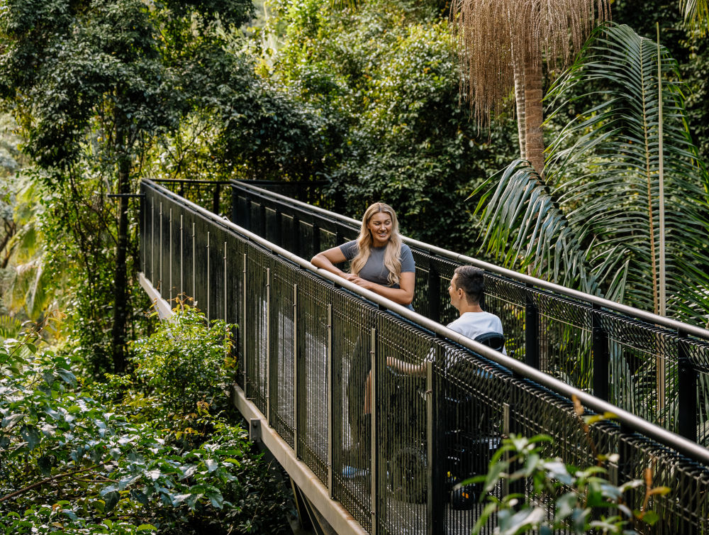 rainforest walk gold coast