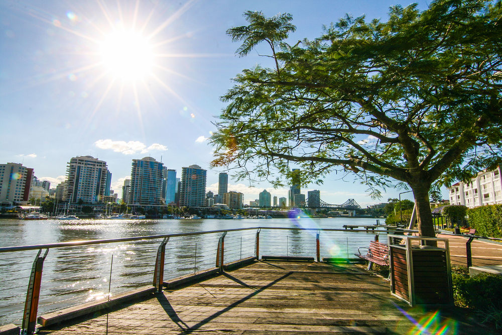 A riverside spot at New Farm; a suburb in Brisbane Australia