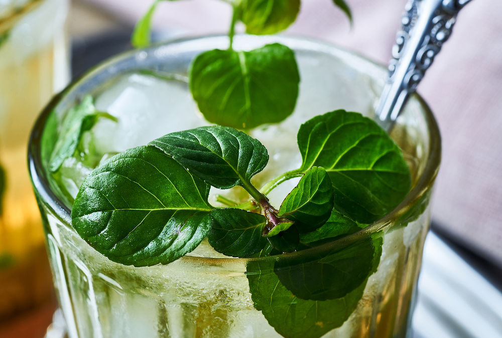 Fresh mojito mint cocktails