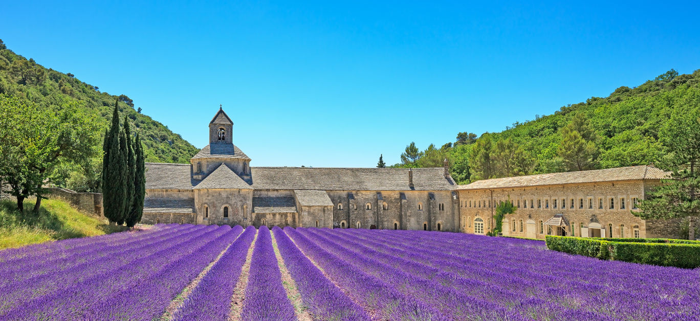 Abbey of Senanque and blooming rows lavender flowers. Gordes Luberon Vaucluse Provence France Europe.