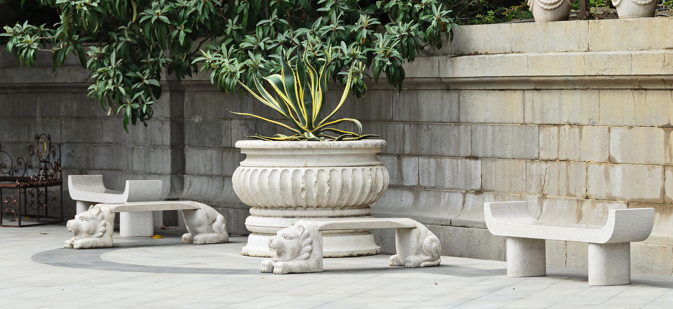 Marble bench in the park and agave in a flowerbed