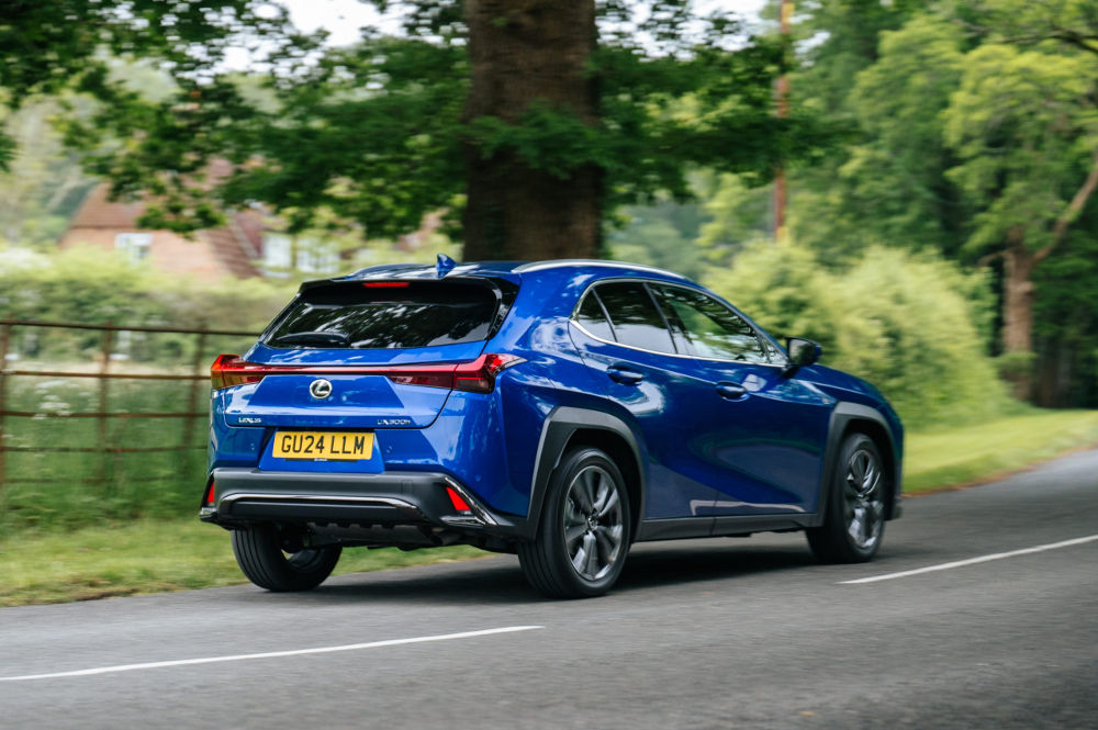 2024 Lexus UX 300h rear view