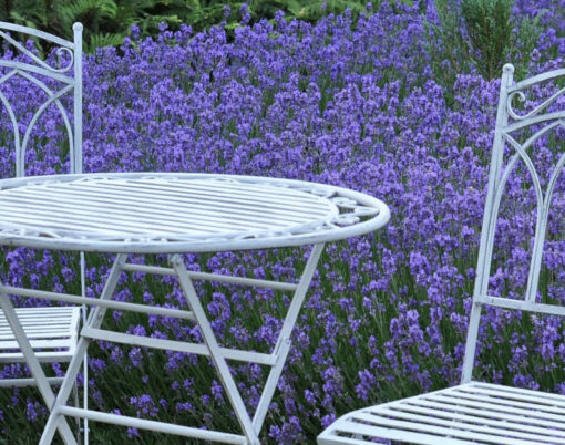 Brunell Royal Bistro _ Garden Furniture Set-2