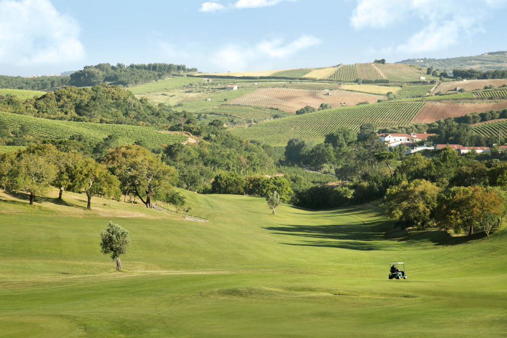 dolce campo golf