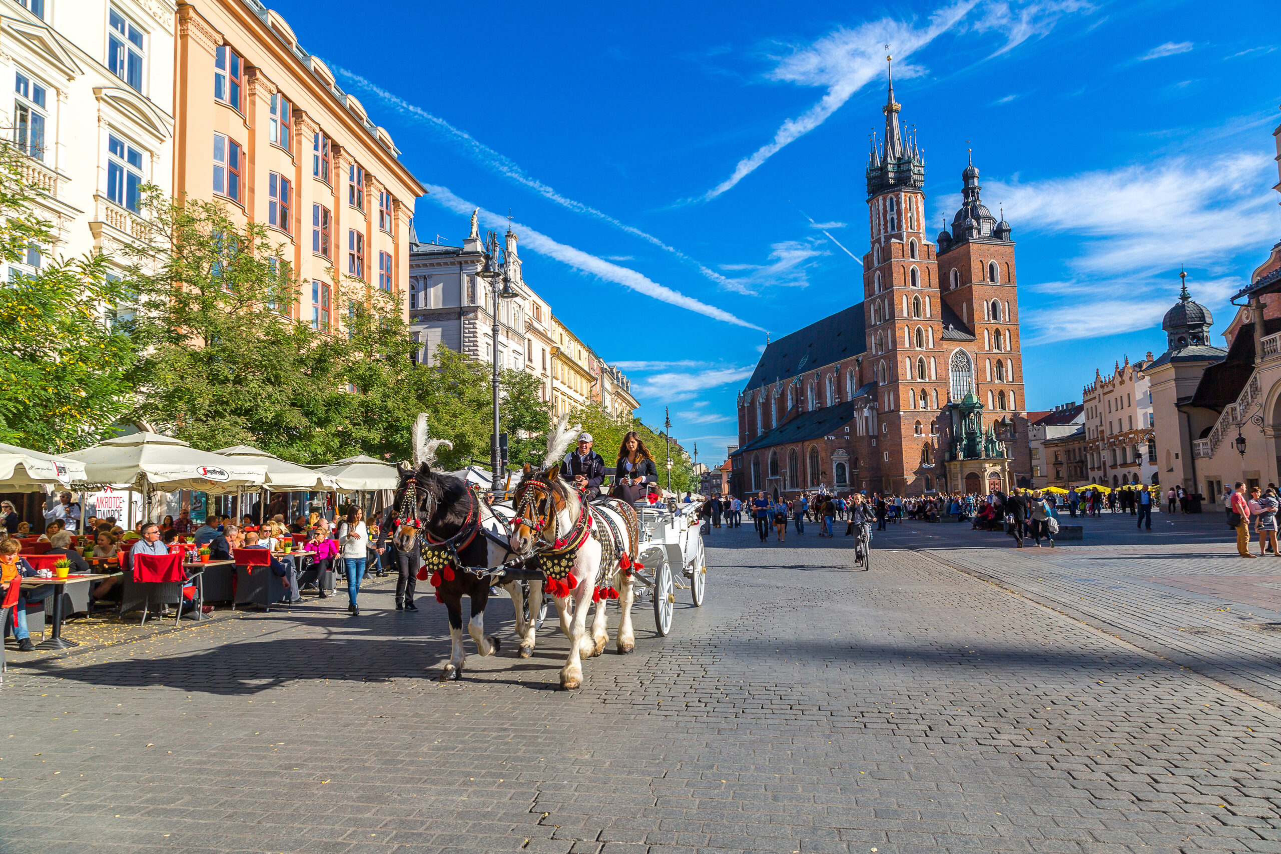 Horse carriages at main square in krakow
