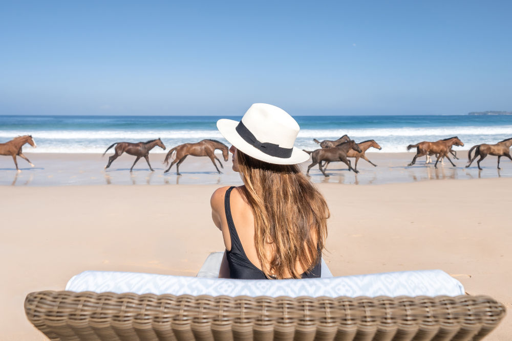 nihi sumba horses