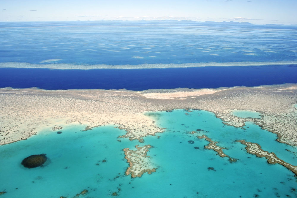 great barrier rift 