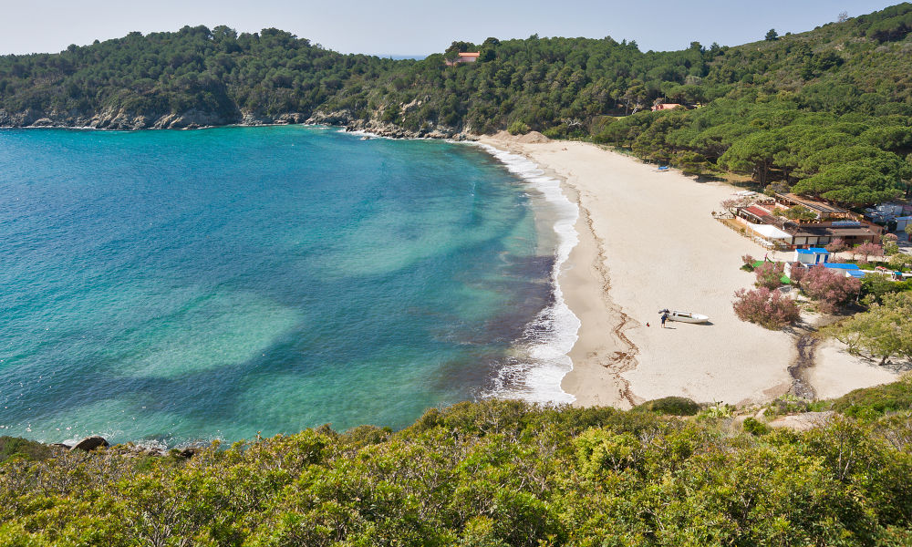 Fetovaia beach elba