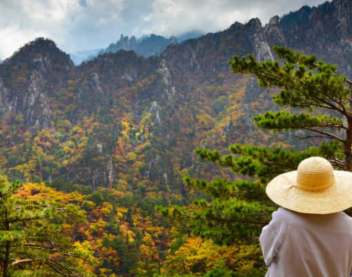 Buddhist monk meditation at seorak mountains at the Seorak-san National Park, Soraksan, South korea