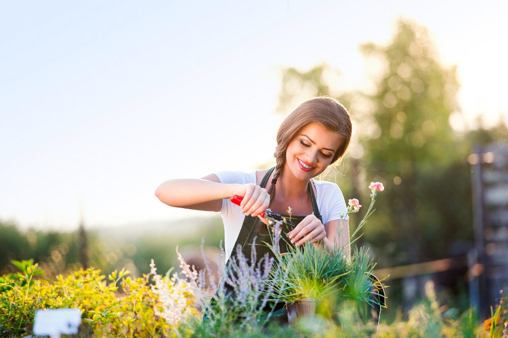 pruning