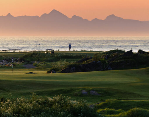 lofoten links