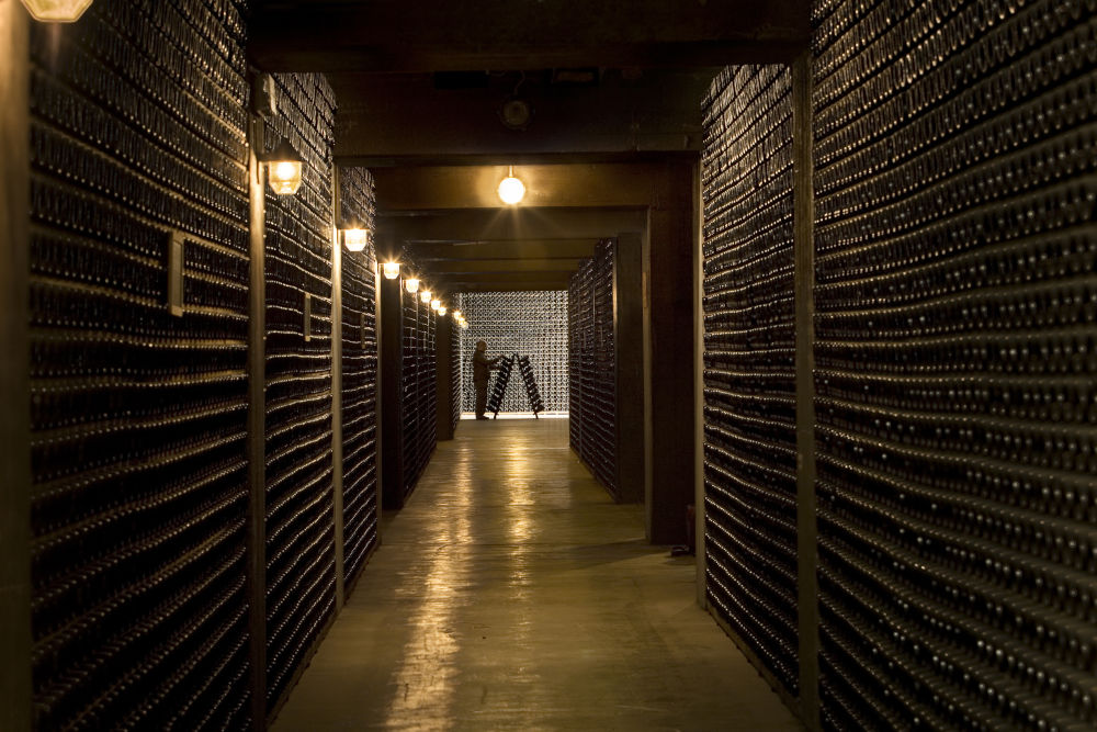 ferrari trento cellar