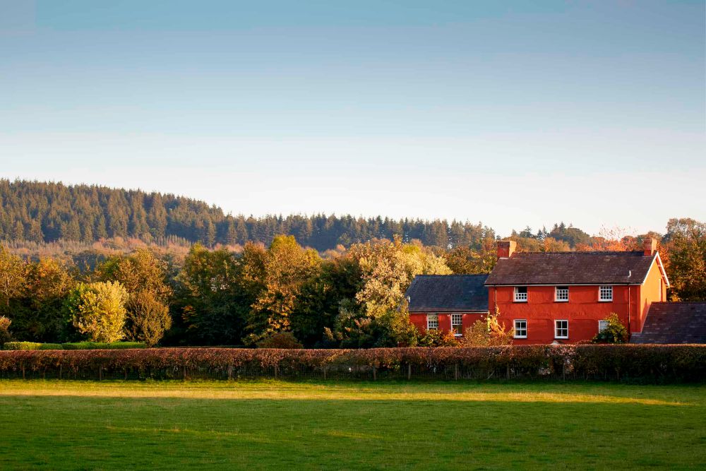 The Felin Fach Griffin, Brecon