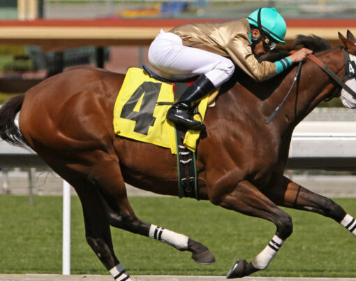 Jockey Christian Santiago Reyes pilots 7-year-old One Shot