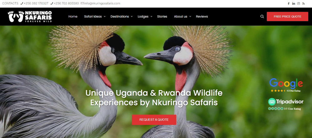 Nkuringo Safaris screenshot