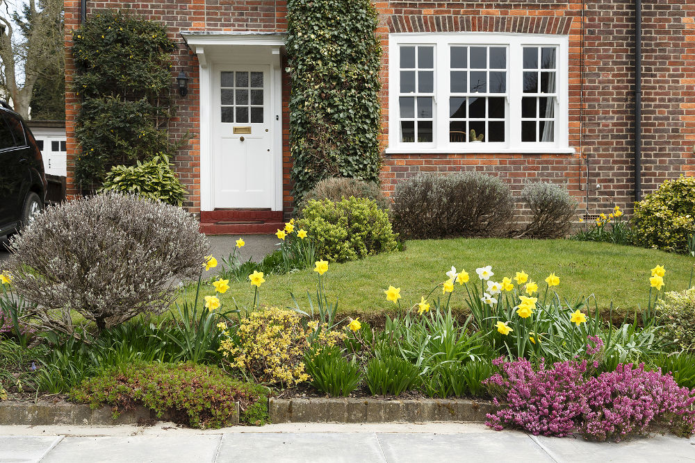 A period house in Pinner, London, with a front garden planted with daffodil flowers