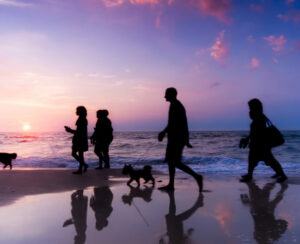 Family walk on the beach at sunset