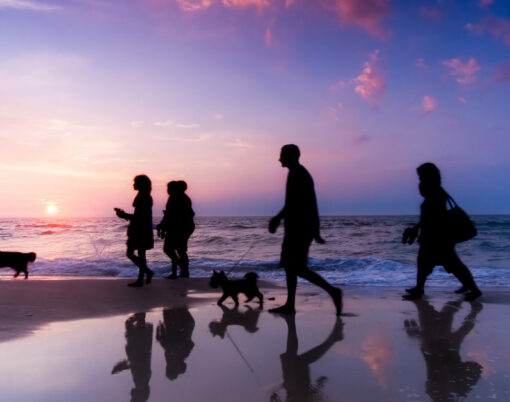 Family walk on the beach at sunset