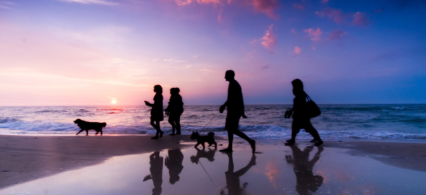 Family walk on the beach at sunset