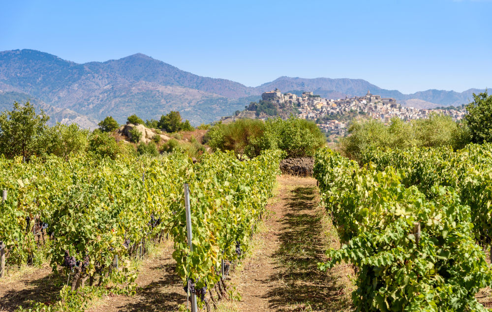 Italy landscape