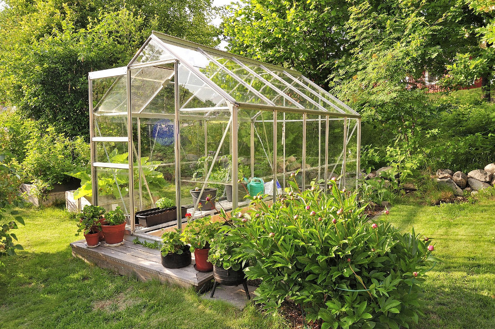 A garden center greenhouse with a colorful display of potted plants and flowers