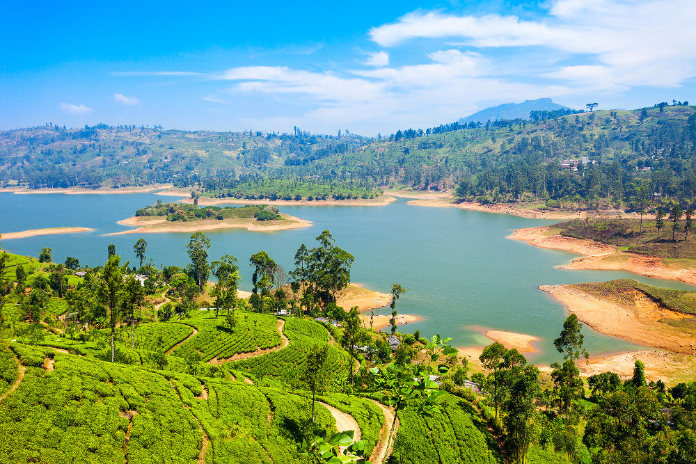 Tea plantation and Maskeliya Dam Lake or Maussakelle reservoir near Nuwara Eliya in Sri Lanka. 