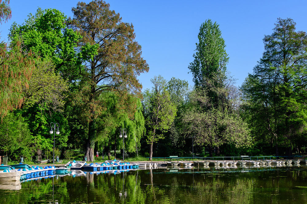 Cismigiu Garden