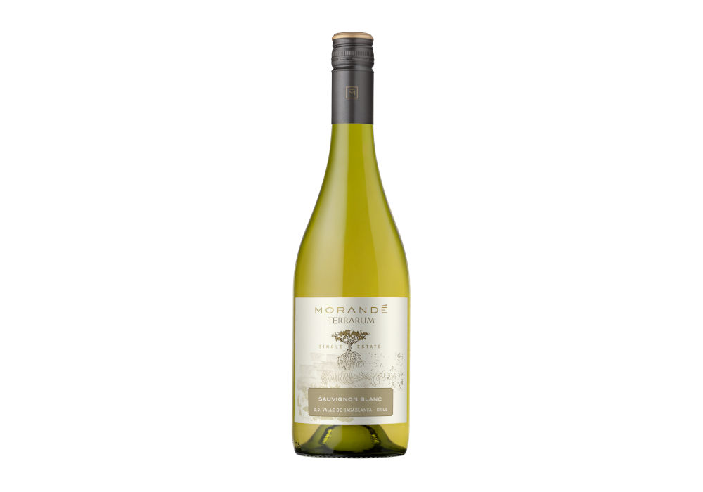 Morandé Terrarum Single Estate Sauvignon Blanc 2023