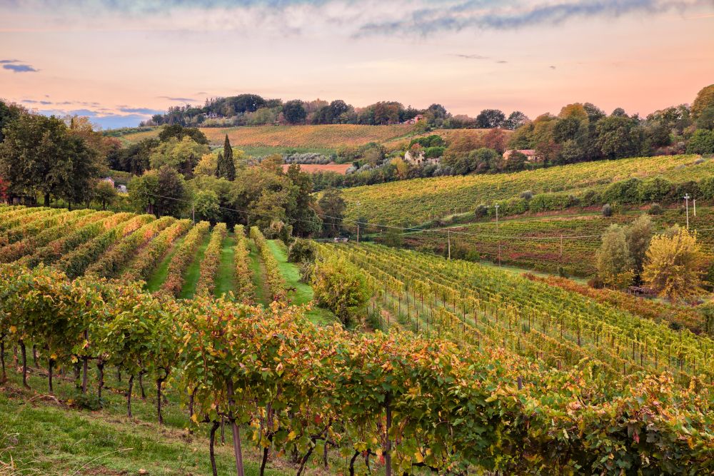 Tuscany, Emilia-Romagna