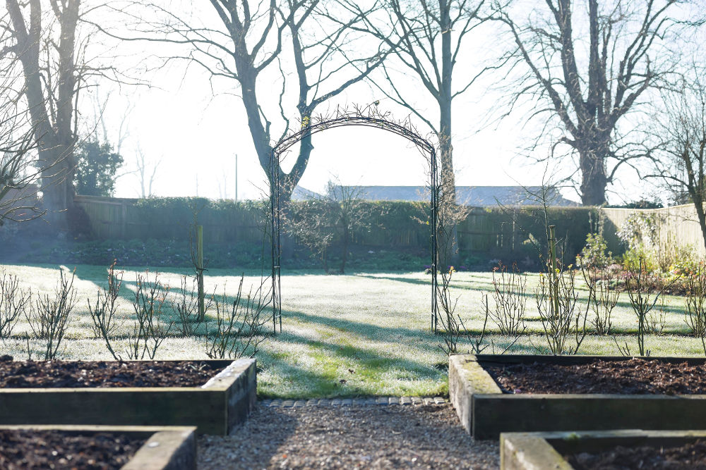 Large English garden in winter, UK, with rose bushes, arch, and raised beds in a vegetable patch