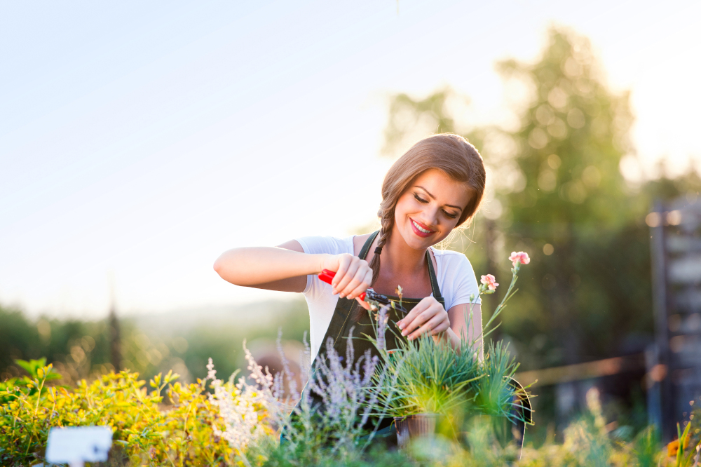 gardening 