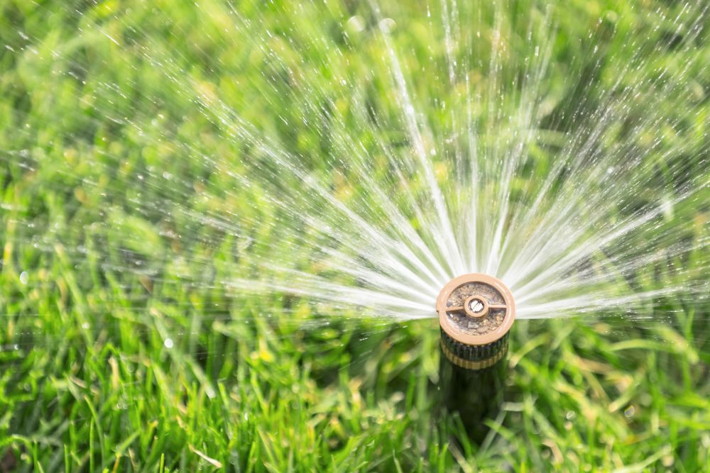 garden watering