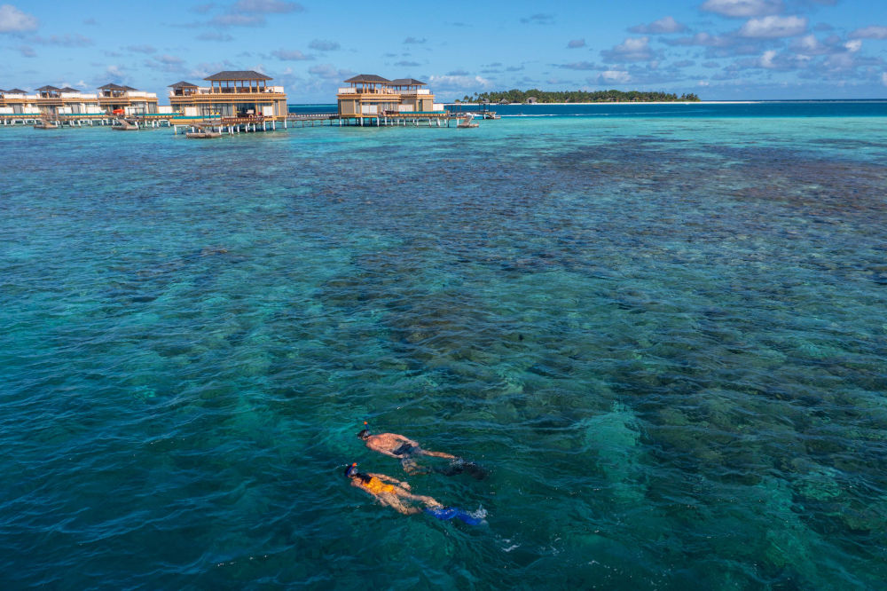 angsana snorkelling