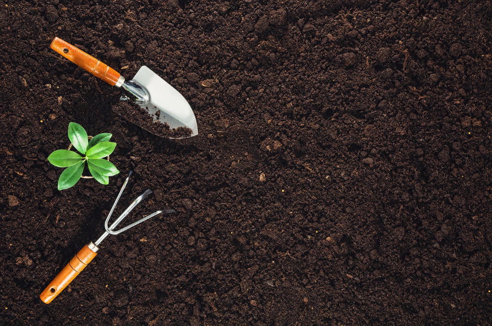 Gardening tools on fertile soil texture background seen from above