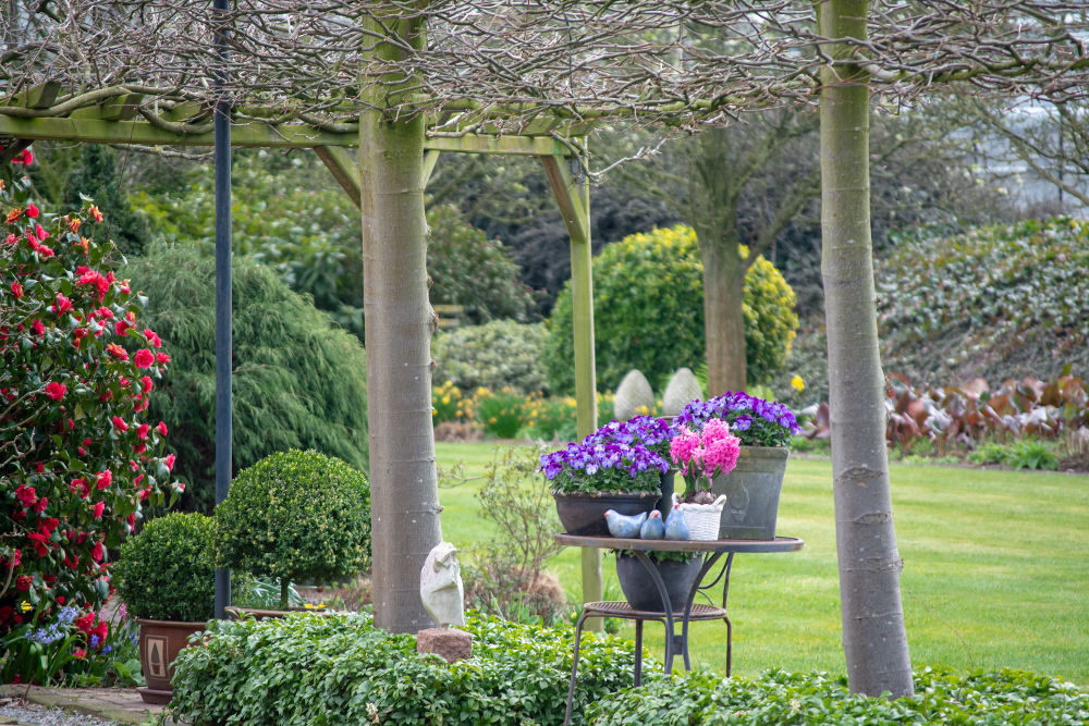 Rural country style spring garden with colorful flowers, cutted trees and green lawn