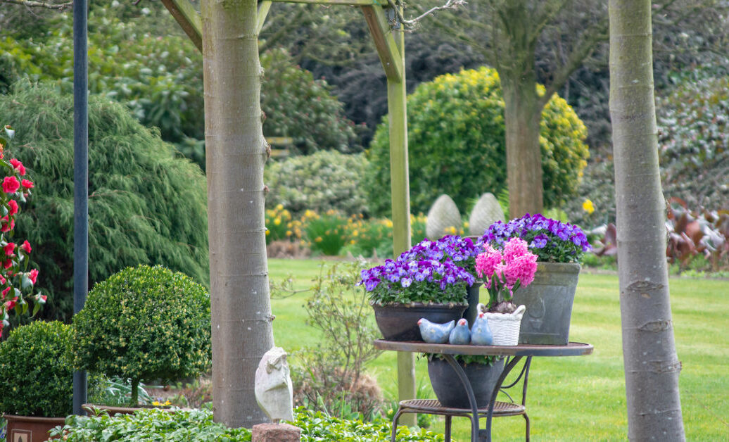 Rural country style spring garden with colorful flowers, cutted trees and green lawn