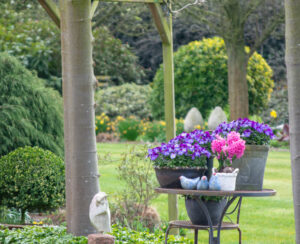 Rural country style spring garden with colorful flowers, cutted trees and green lawn