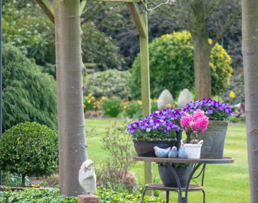 Rural country style spring garden with colorful flowers, cutted trees and green lawn