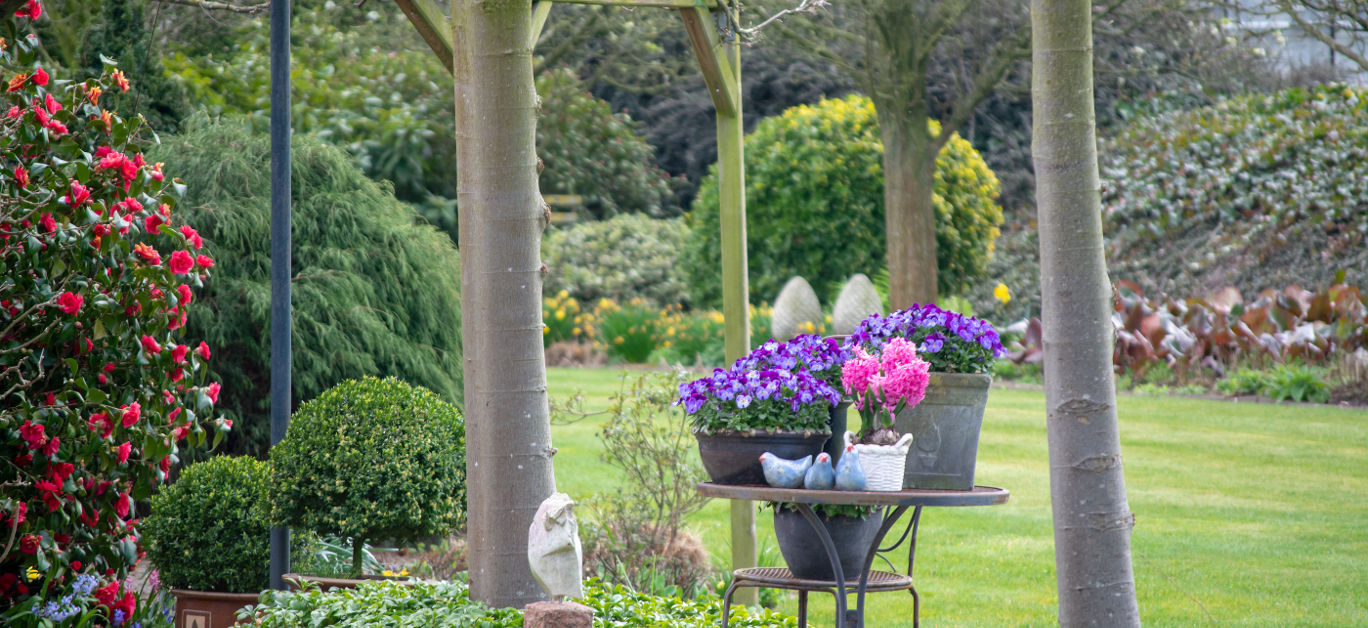 Rural country style spring garden with colorful flowers, cutted trees and green lawn