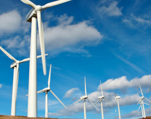 wind turbines farm